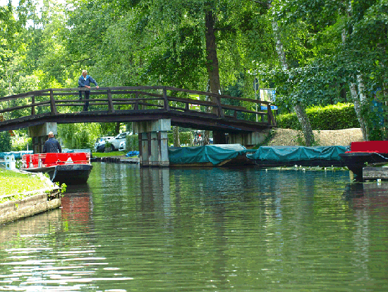 Jahresausflug Cottbus/Spreewald/Berlin 2015